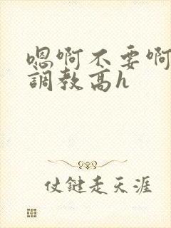 嗯啊不要啊啊啊调教高h封面