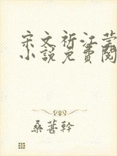 宋文祈江莹溪的小说免费阅读