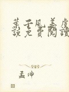 叶子风姜虞雪小说免费阅读封面