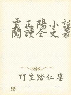 贾正阳小说免费阅读全文最新章节