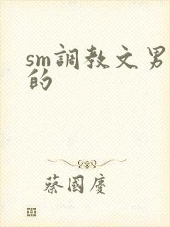 sm调教文男男的