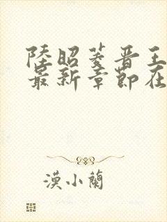 陆昭菱晋王小说最新章节在线阅读封面