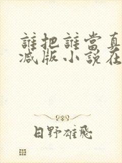 谁把谁当真无删减版小说在线观看