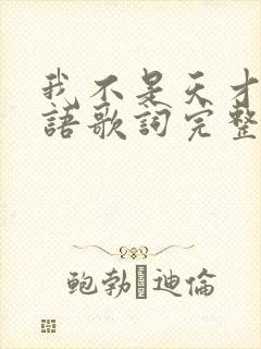 我不是天才吗日语歌词完整版封面