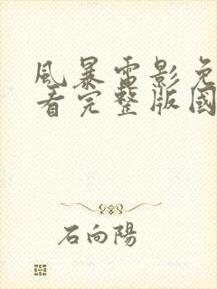 风暴电影免费观看完整版国语版封面