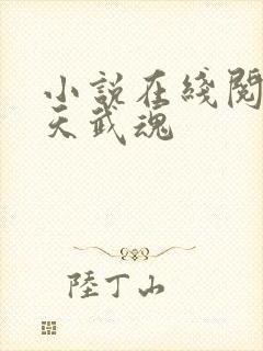 小说在线阅读霸天武魂