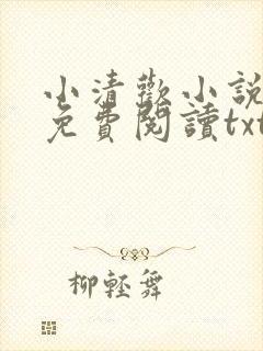 小清欢小说全文免费阅读txt