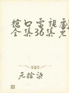 枪口电视剧高清全集36集免费观看