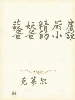 苏妖精厨房爹爹爸爸的小说