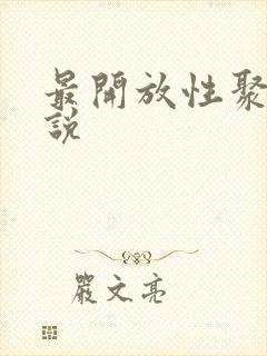 最开放性聚会小说