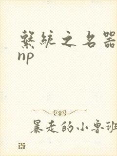 系统之名器攻略np封面