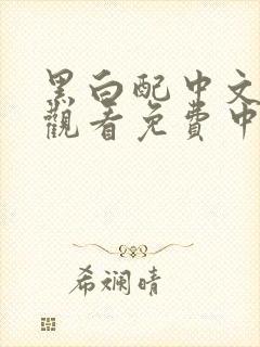 黑白配中文在线观看免费中文版