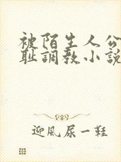 被陌生人公开羞耻调教小说