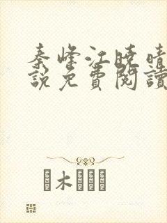 秦峰江晓晴的小说免费阅读