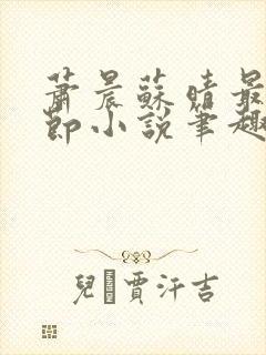 萧晨苏晴最新章节小说笔趣阁