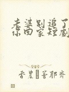 老婆别追了我跟你回家短剧免费观看全集