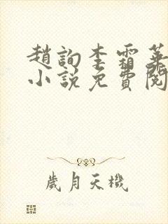 赵询李霜华宸妃小说免费阅读封面