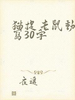 猫捉老鼠动作描写30字