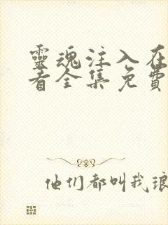 灵魂注入在线观看全集免费观看