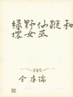 绿野仙踪和魔法坏女巫封面