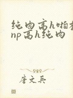 纯肉高h啪校园np高h纯肉封面