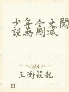 少年全文阅读小说无删减