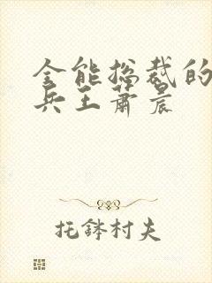 全能总裁的全能兵王萧晨