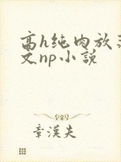 高h纯肉放荡h文np小说