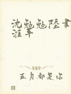 沈勉勉陆聿风沈淮平封面
