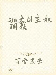sm文bl主奴调教