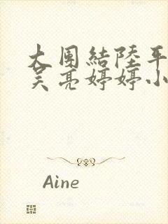 大团结陆平吴刚吴亮婷婷小说