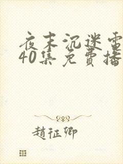 夜末沉迷电视剧40集免费播放下载