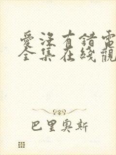 爱没有错电视剧全集在线观看