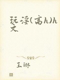 玩淫(高h)h文