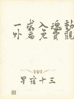 一求入魂动漫番外篇免费观看