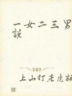 一女二三男事小说