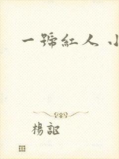 一号红人 小说