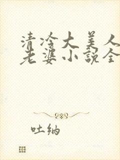 清冷大美人是我老婆小说全文阅读