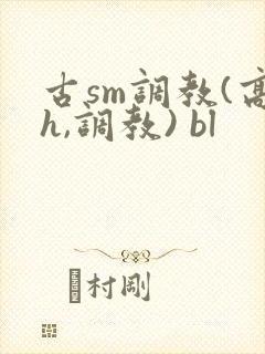 古sm调教(高h,调教) bl