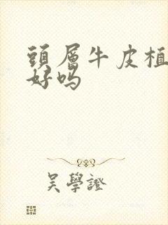 头层牛皮植鞣皮好吗