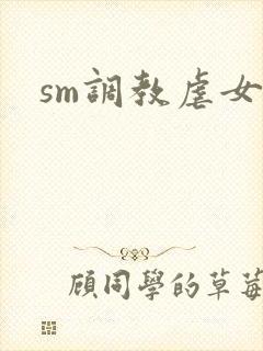 sm调教虐女文
