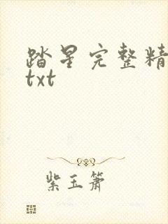 踏星完整精校版txt