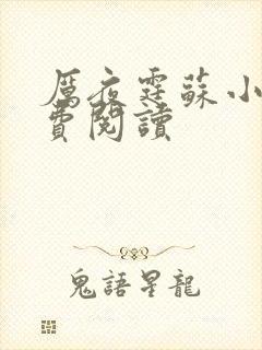 厉夜霆苏小汐免费阅读封面