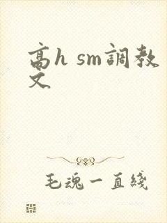 高h sm调教文