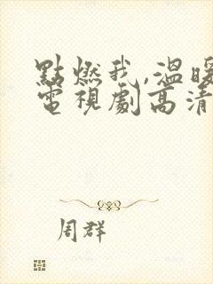 点燃我,温暖你电视剧高清在线观看