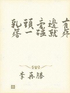 乳头旁边有小疙瘩一碰就疼封面