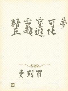 精灵宝可梦皮卡丘超进化