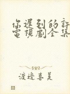 你迟到的许多年电视剧全集免费