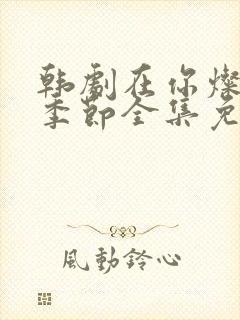 韩剧在你灿烂的季节全集免费观看