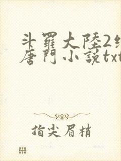 斗罗大陆2绝世唐门小说txt